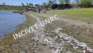 Córdoba. Recuento de peces muertos en sectores del Embalse del río Tercero (Incivet/UNRC).