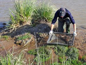 investigadores